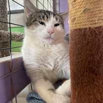 Thumbnail photo of Moopie #1