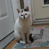 Thumbnail photo of Simon #4