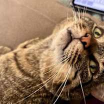 Thumbnail photo of Bobby #3