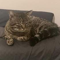 Thumbnail photo of Bobby #4