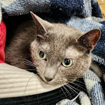 Thumbnail photo of Kiki #1