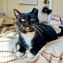 Thumbnail photo of Dottie #3