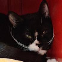 Thumbnail photo of Pako #1