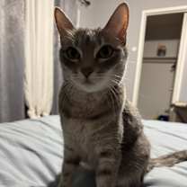 Thumbnail photo of Ashes #2