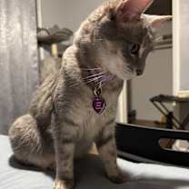 Thumbnail photo of Ashes #3