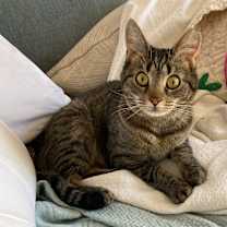 Thumbnail photo of Brooke #1