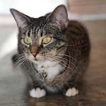 Thumbnail photo of Twix #1