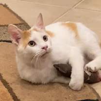 Thumbnail photo of Sonny #3