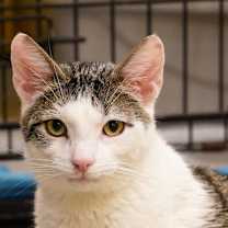 Thumbnail photo of April #3