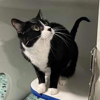 Thumbnail photo of Tess #4