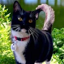 Thumbnail photo of Mabel #2