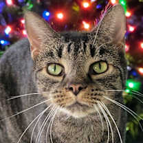 Thumbnail photo of Sheila #1