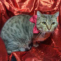 Thumbnail photo of Idgie Threadgoode #2