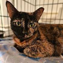 Thumbnail photo of Samantha #2