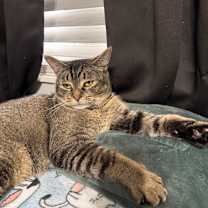 Thumbnail photo of Roxy  #2