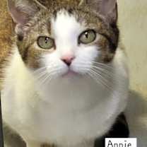 Thumbnail photo of Annie #1