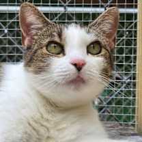 Thumbnail photo of Annie #2