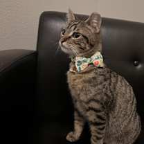 Thumbnail photo of Garfield #1