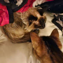Thumbnail photo of Pearl #2