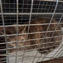 Thumbnail photo of Eileen #3