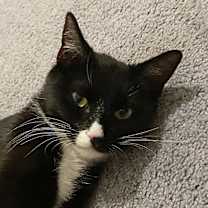 Thumbnail photo of Wendy Bergeron (seeking foster home) #4