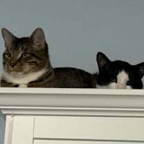 Thumbnail photo of Elton #3