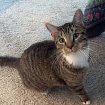 Thumbnail photo of Elton #4