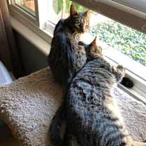 Thumbnail photo of Spaz #2