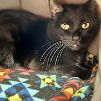 Thumbnail photo of Coco #1