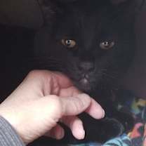 Thumbnail photo of Coco #3