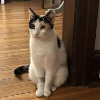 Thumbnail photo of Donna Delancey #2