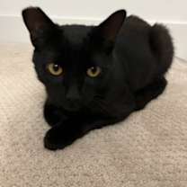 Thumbnail photo of Dan #4