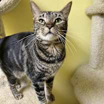 Thumbnail photo of Nellie #2