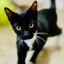 Thumbnail photo of Waffles #2