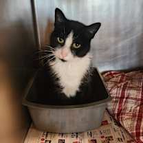 Thumbnail photo of Sky #1