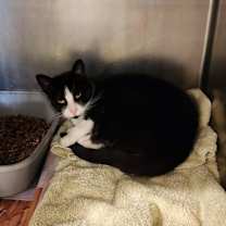 Thumbnail photo of Sky #2