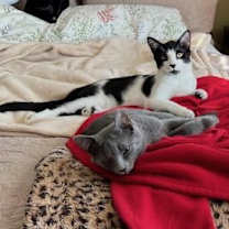 Thumbnail photo of Freddy #3