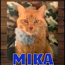 Thumbnail photo of Mika #1