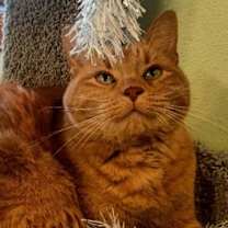 Thumbnail photo of Mika #4