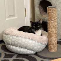 Thumbnail photo of Taco 0354 #4