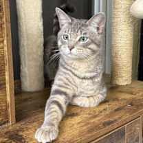 Thumbnail photo of Clayton #1