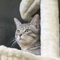 Thumbnail photo of Clayton #2