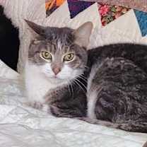 Thumbnail photo of Lou #2