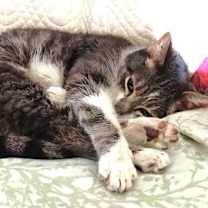 Thumbnail photo of Lou #3
