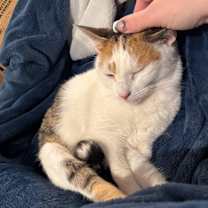 Thumbnail photo of Debbie #4