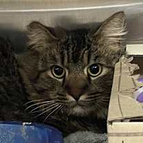 Thumbnail photo of Jack Daniels #4