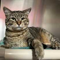 Thumbnail photo of Sylvie #2