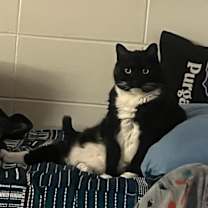 Thumbnail photo of Treasure #1