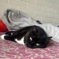 Thumbnail photo of Treasure #2