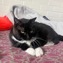 Thumbnail photo of Treasure #3